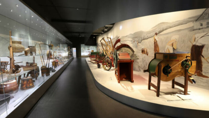Zemědělství od neolitu po současnost. Národní zemědělské muzeum otevírá novou expozici