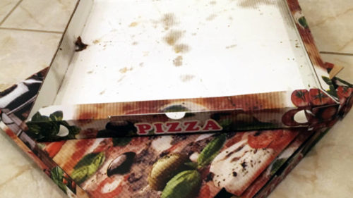 Mastné krabice od pizzy do kontejneru na papír nepatří.
