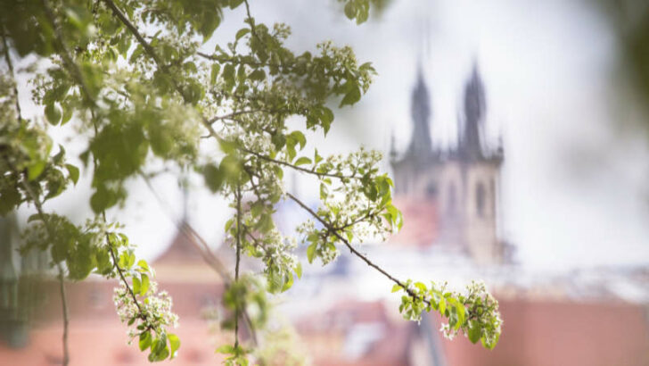 Předpověď počasí na noc a neděli 31. března 2019