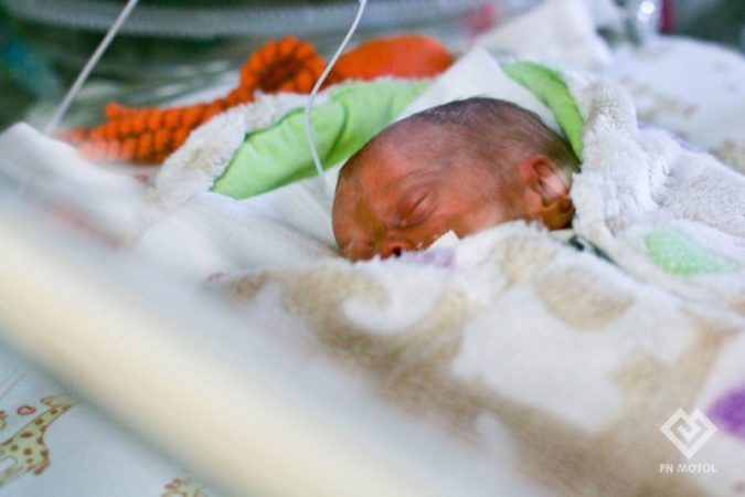 V Motole se narodila čtyřčata. Rodiče čeká pořádný zápřah