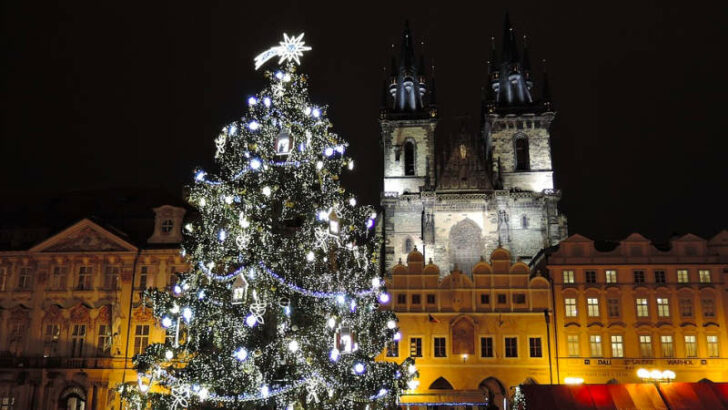 Hledá se vánoční strom pro Prahu. Vítězný tip dostane finanční odměnu