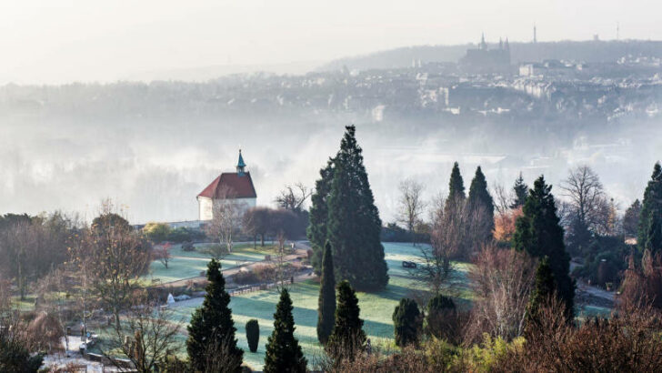 Botanická zahrada v Troji funguje přesně 50 let. Nyní prochází zásadní modernizací