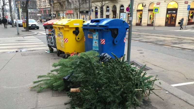Použité vánoční stromečky plní pražské ulice.