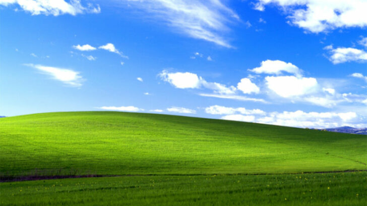 Příběh fotografie, kterou zná celý svět díky Windows XP. Kde vznikla a kolik vydělala autorovi?