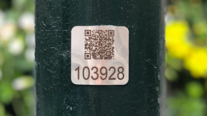 Každá lampa v Praze bude mít svůj vlastní QR kód