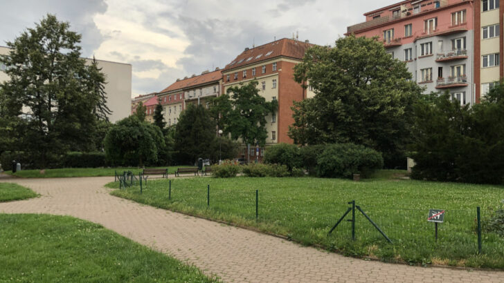 Náměstí Jiřího z Lobkovic se promění. Praha 3 vypsala soutěž