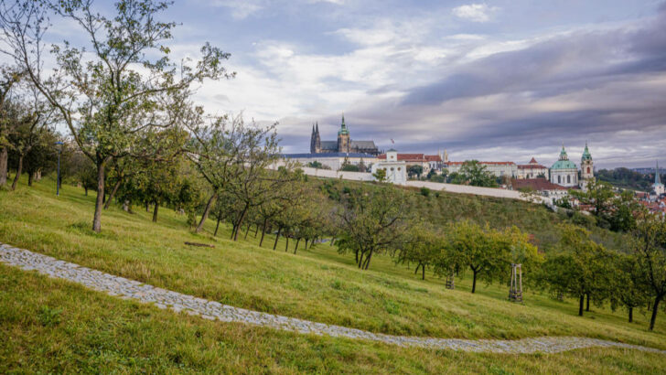 Petřínský vrch se má proměnit. Praha pro něj chystá novou koncepci