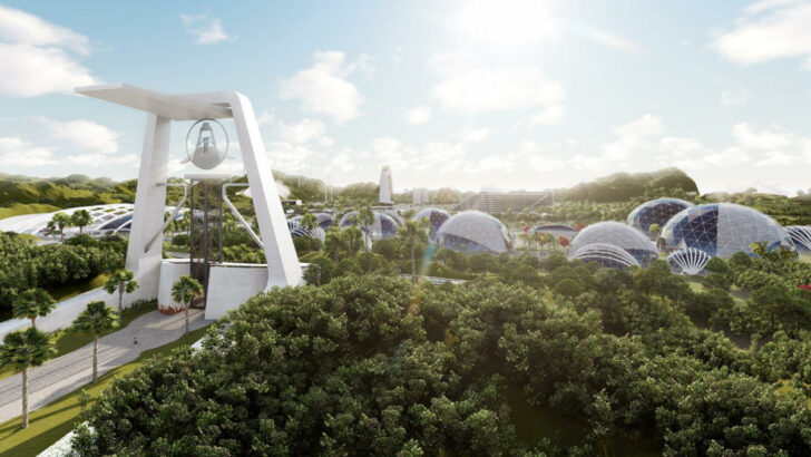 Chystá se stavba Noemovy archy pro všechny druhy zvířat na planetě