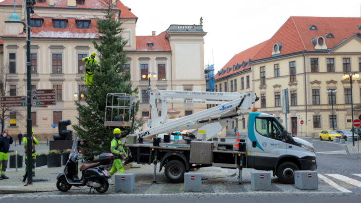 Předvánoční Prahu rozzářily tisíce světelných dekorací. Zajímavou výzdobu mají v Čakovicích