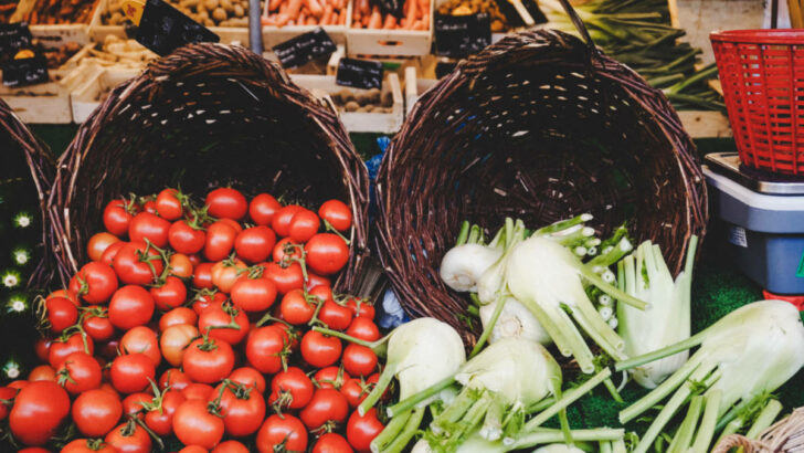 Politikům na nás nezáleží, stěžují si lokální farmáři
