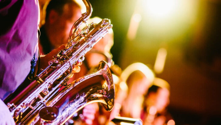 Festival Struny dětem zahraje v sobotu na jazzovou notu