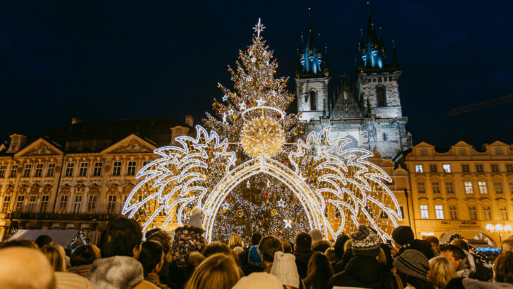 Praha hledá vánoční strom. Autor vítězného tipu může získat slušné peníze