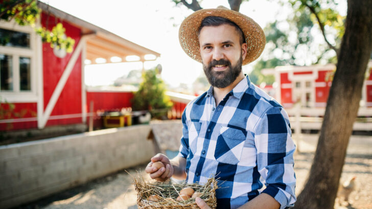 Farmář prozradil trik, jak správně skladovat vejce. Většina lidí to dělá špatně.